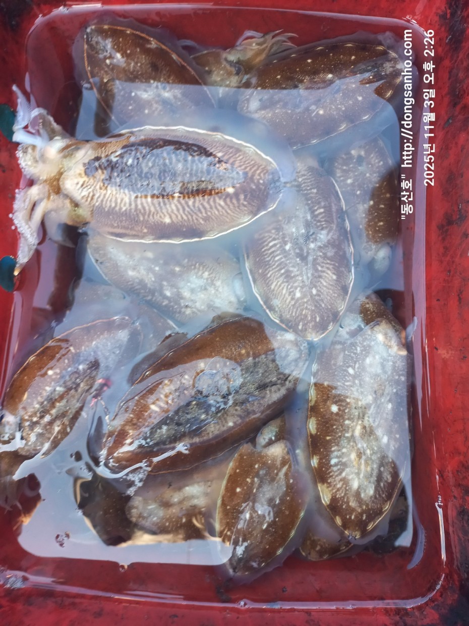 b38df4bfa73c43d62c00a014e2028fce_1762188