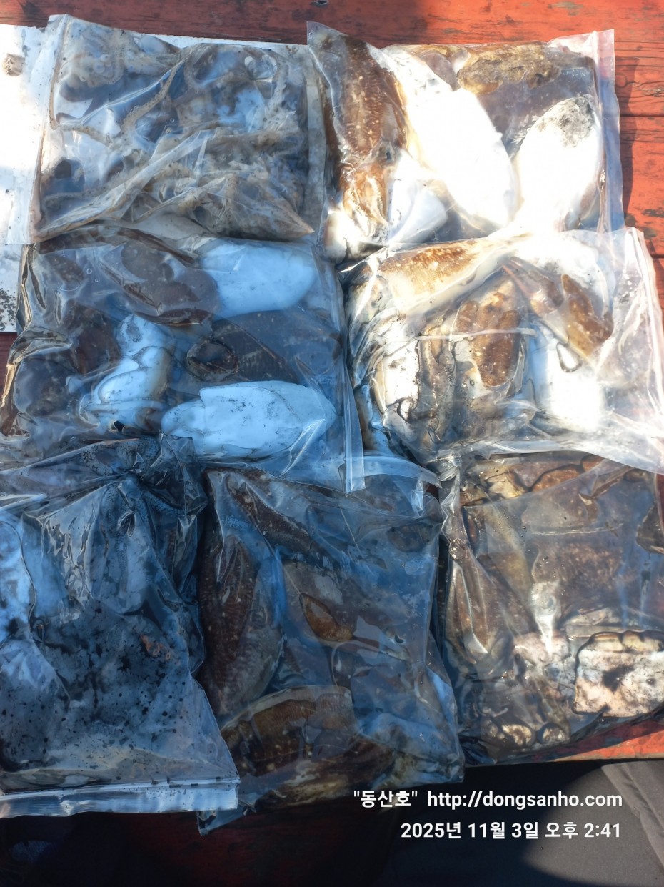 b38df4bfa73c43d62c00a014e2028fce_1762188