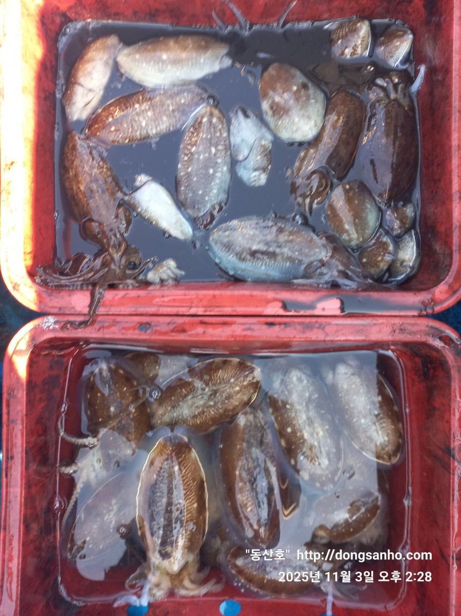 b38df4bfa73c43d62c00a014e2028fce_1762190