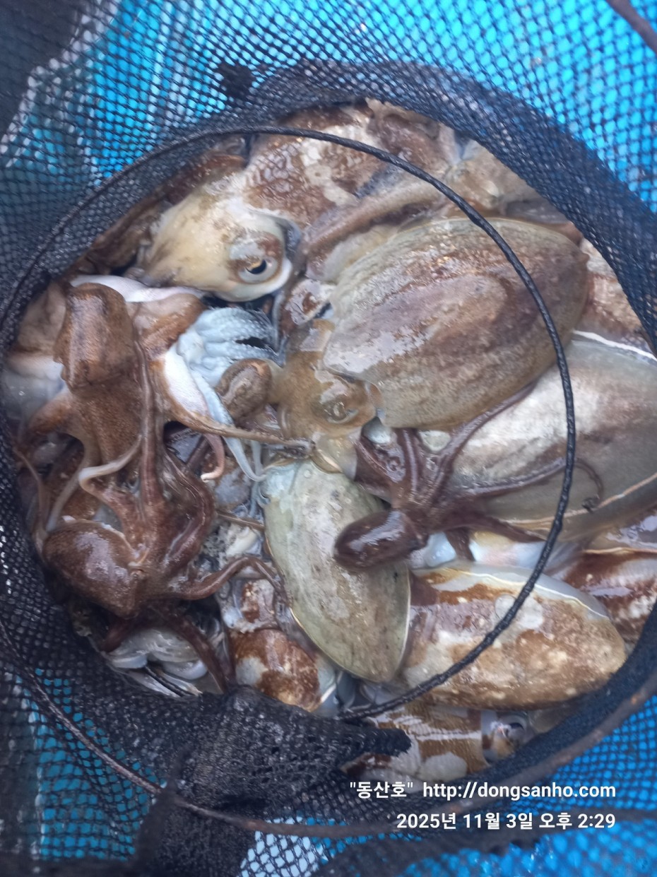 b38df4bfa73c43d62c00a014e2028fce_1762190