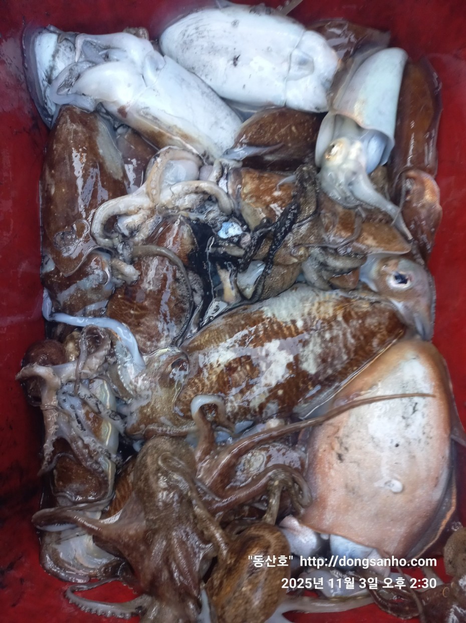 b38df4bfa73c43d62c00a014e2028fce_1762190