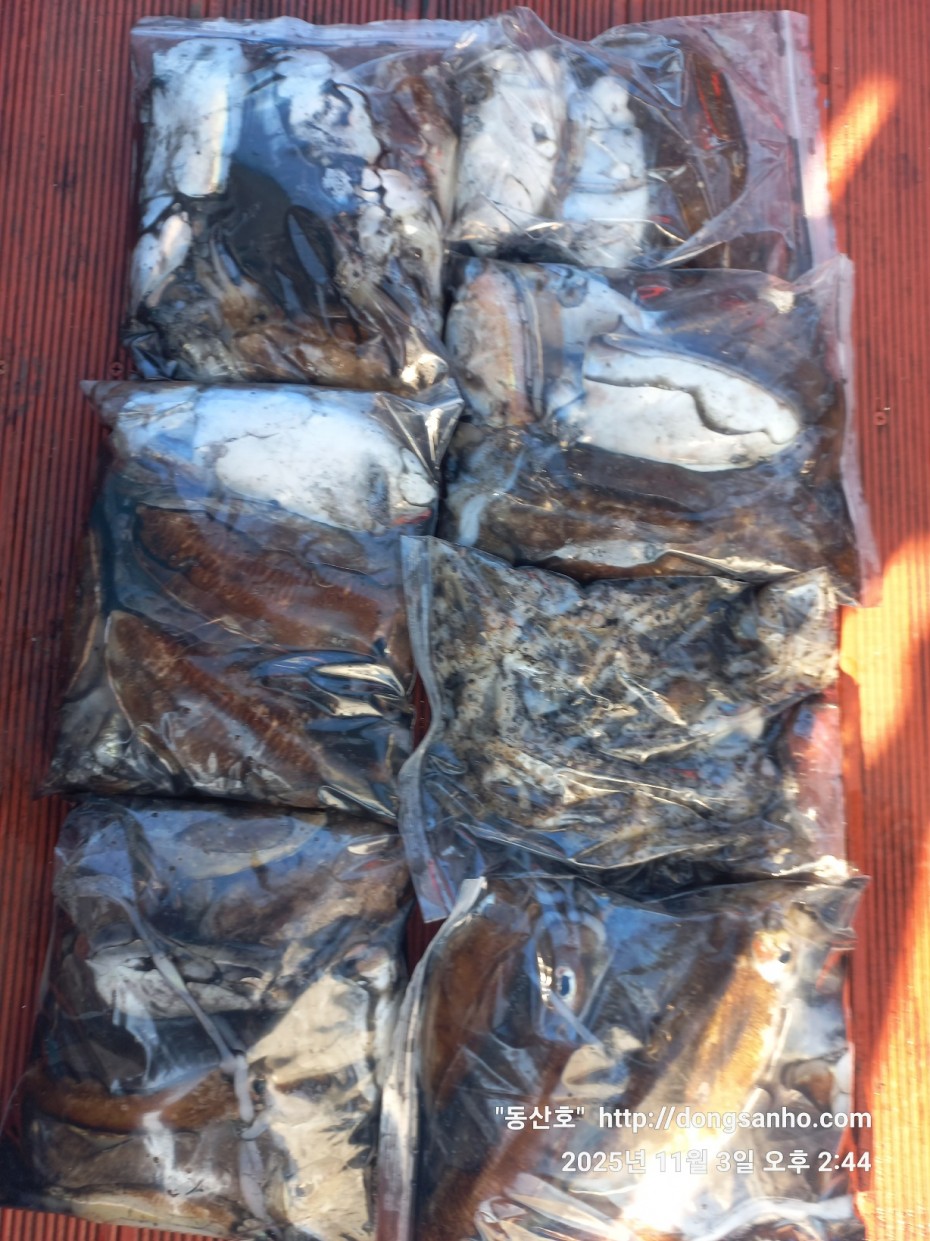 b38df4bfa73c43d62c00a014e2028fce_1762190