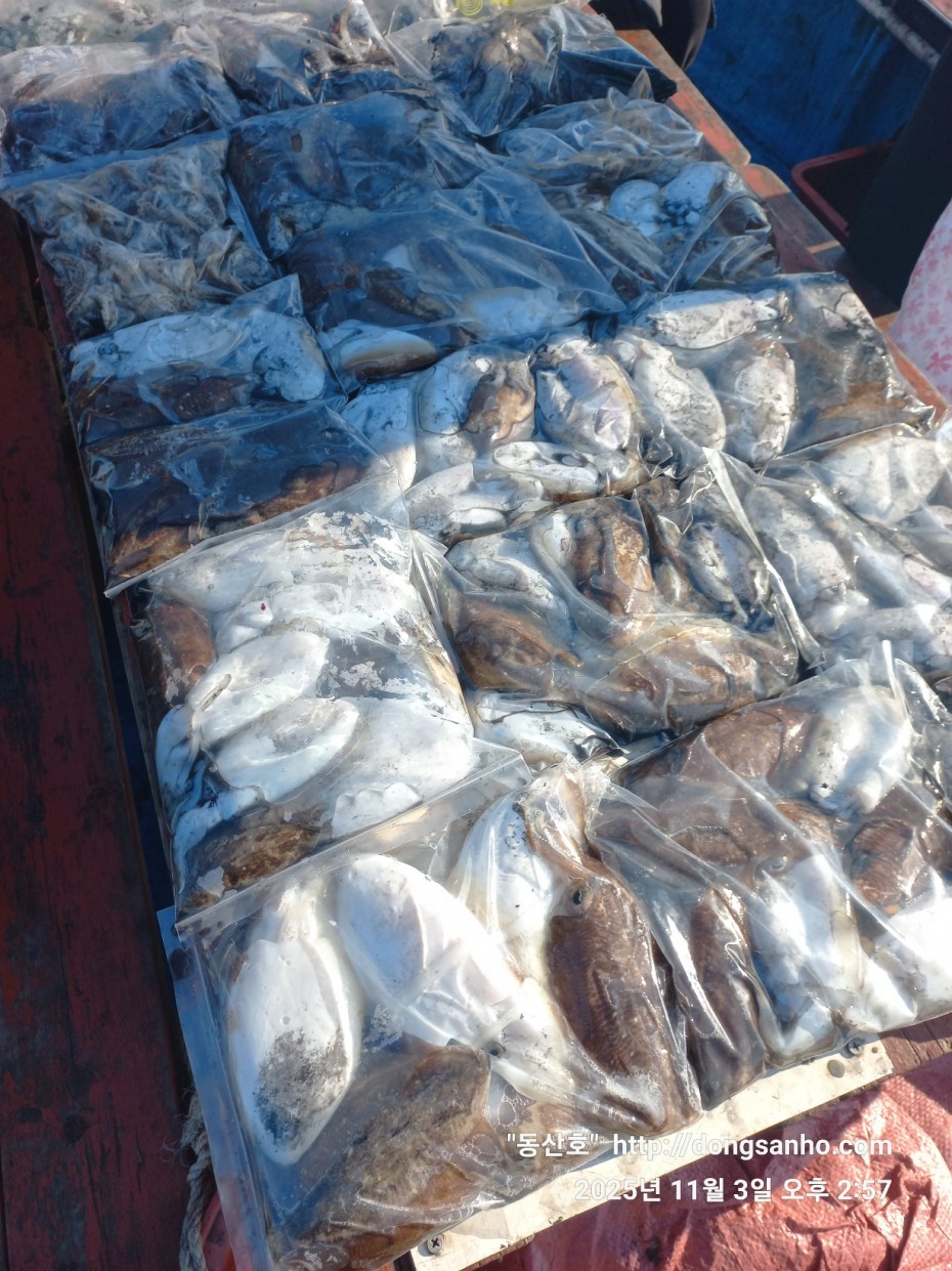 b38df4bfa73c43d62c00a014e2028fce_1762190