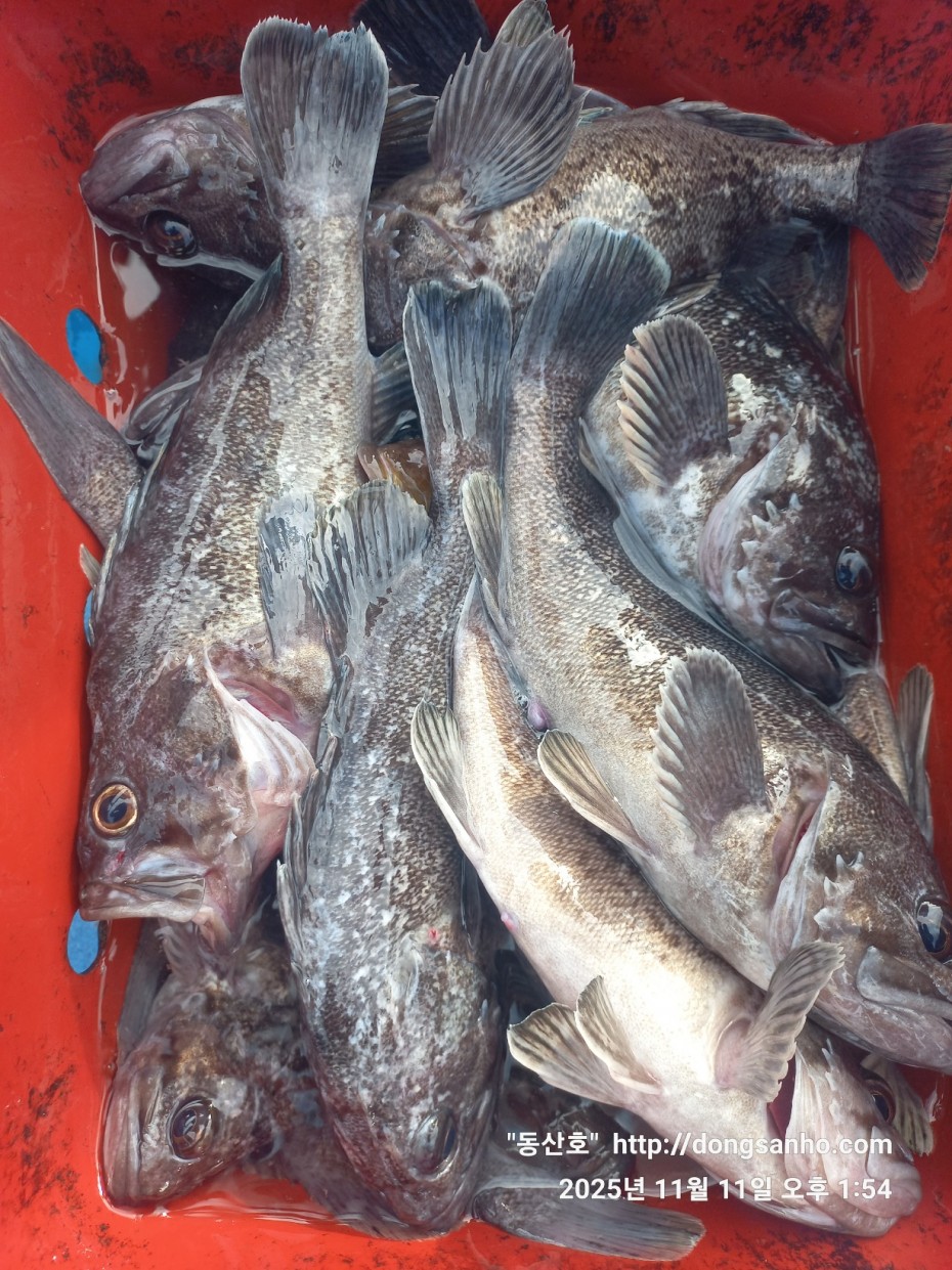 d36688c5f6c8d7dee49cae00df3d1205_1762873