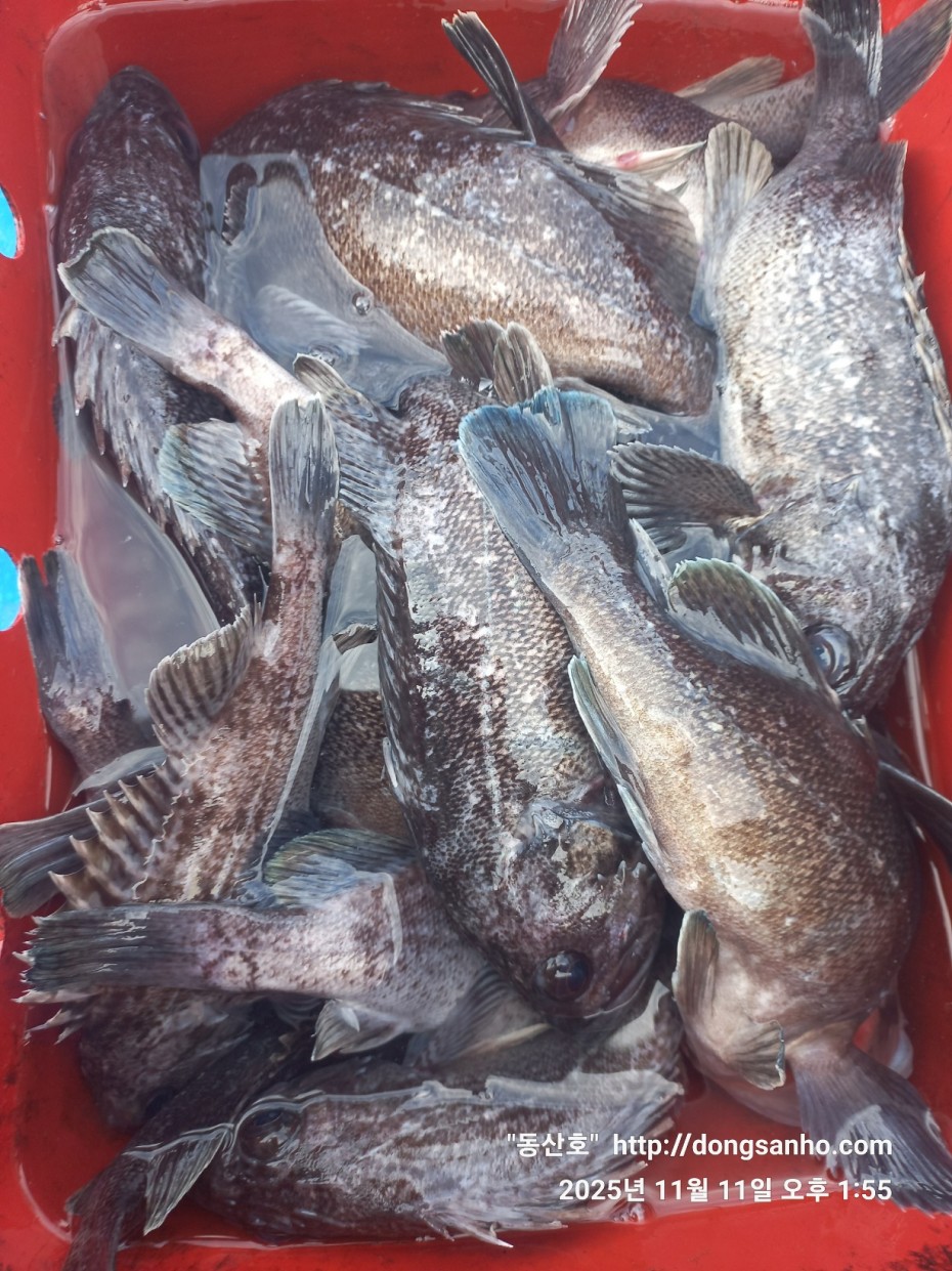 d36688c5f6c8d7dee49cae00df3d1205_1762873