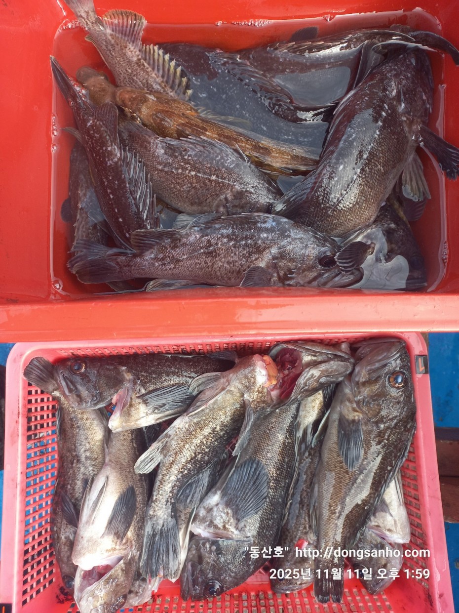 d36688c5f6c8d7dee49cae00df3d1205_1762873