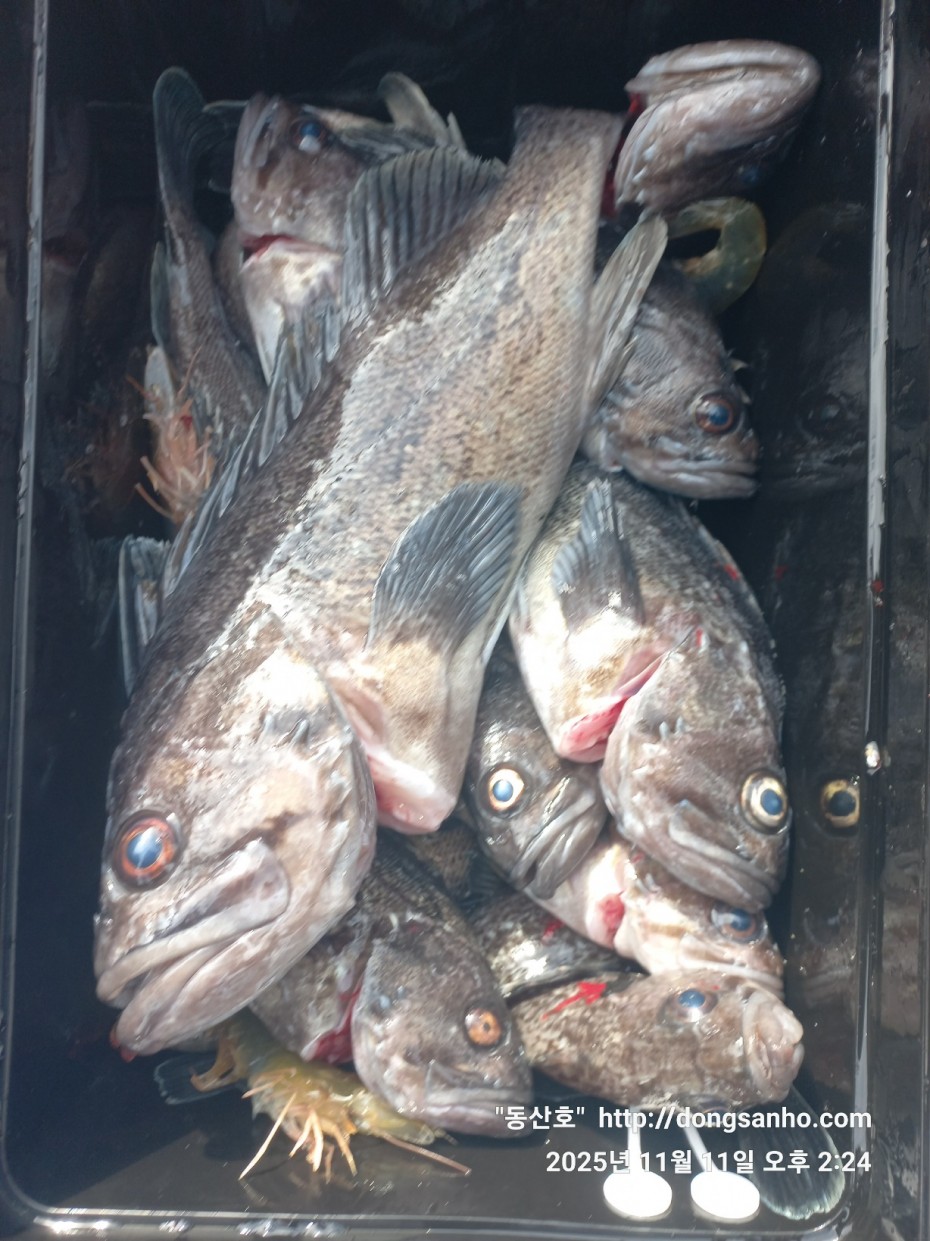 d36688c5f6c8d7dee49cae00df3d1205_1762873