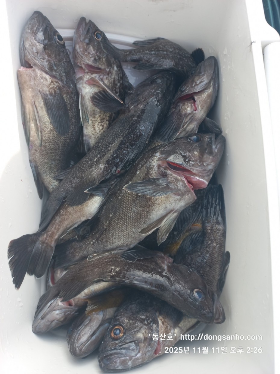 d36688c5f6c8d7dee49cae00df3d1205_1762873