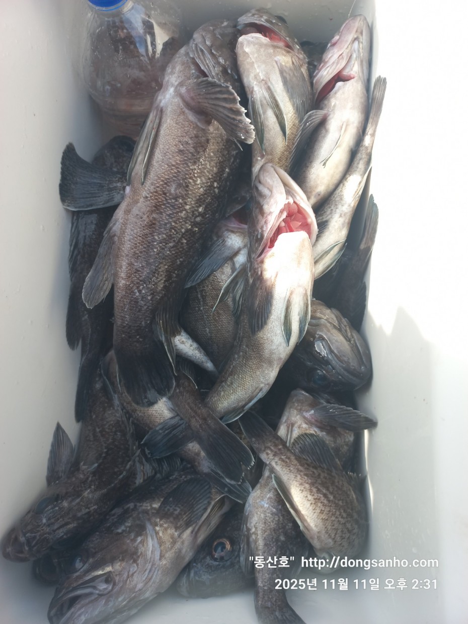 d36688c5f6c8d7dee49cae00df3d1205_1762873