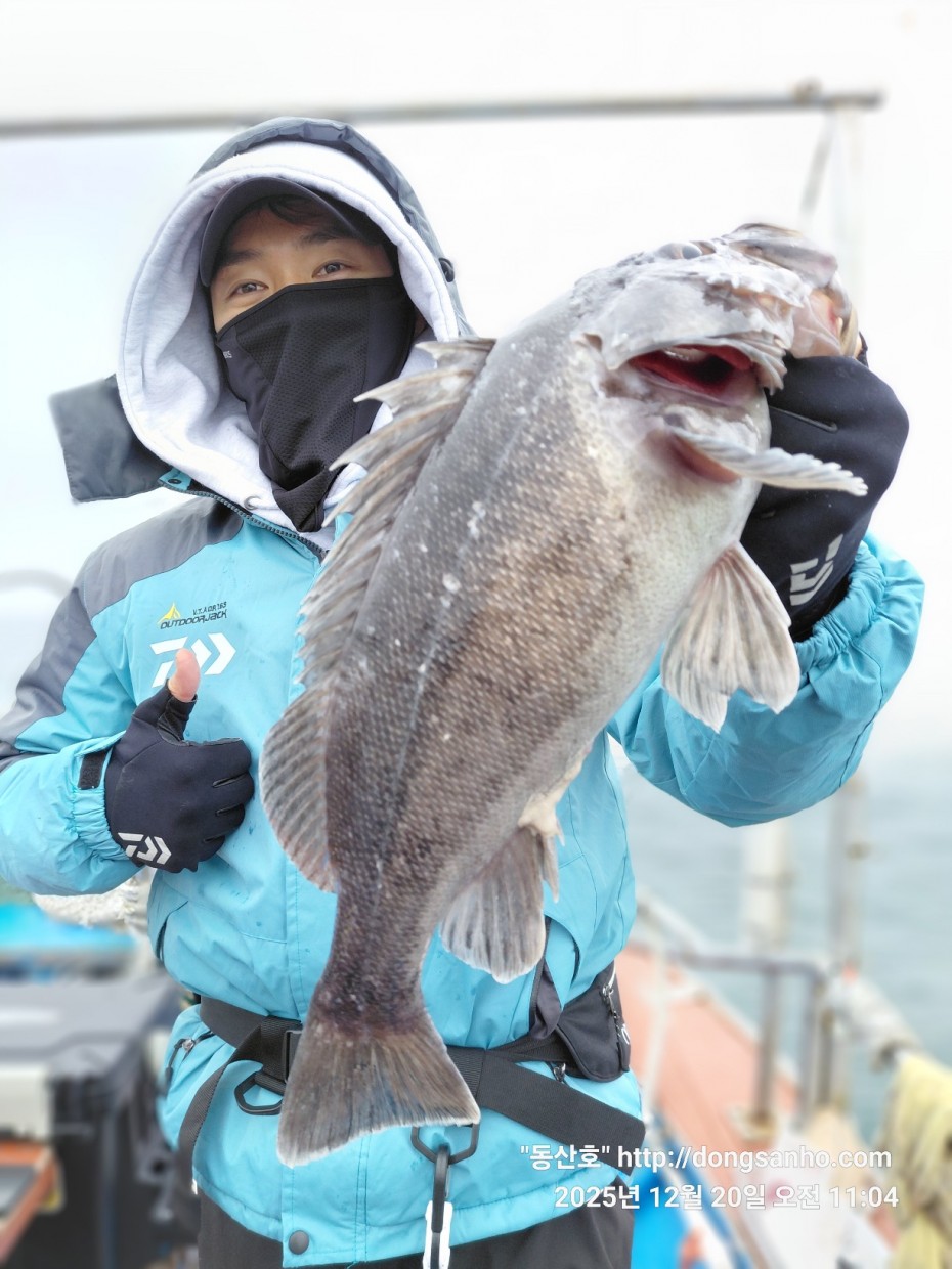 0bd46a48f032043a34ca265981df4bb5_1766265