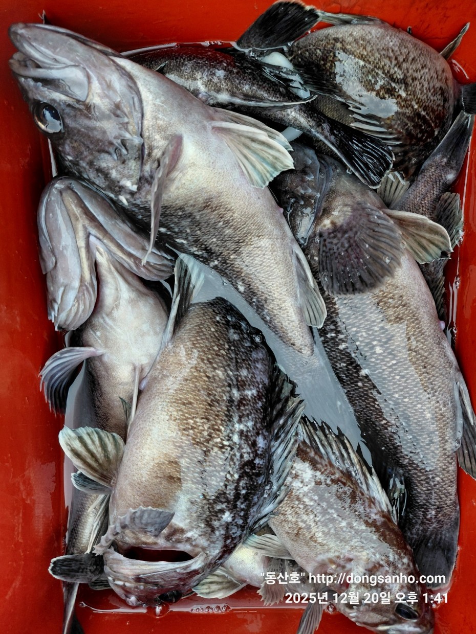 0bd46a48f032043a34ca265981df4bb5_1766265