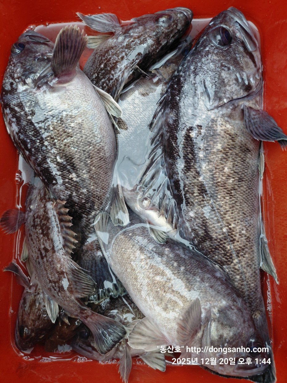 0bd46a48f032043a34ca265981df4bb5_1766265