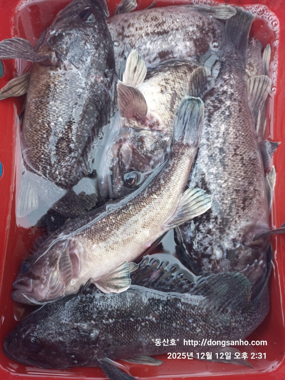 f122236a4d3e69e2ad7efdc33f5bf6e1_1765812