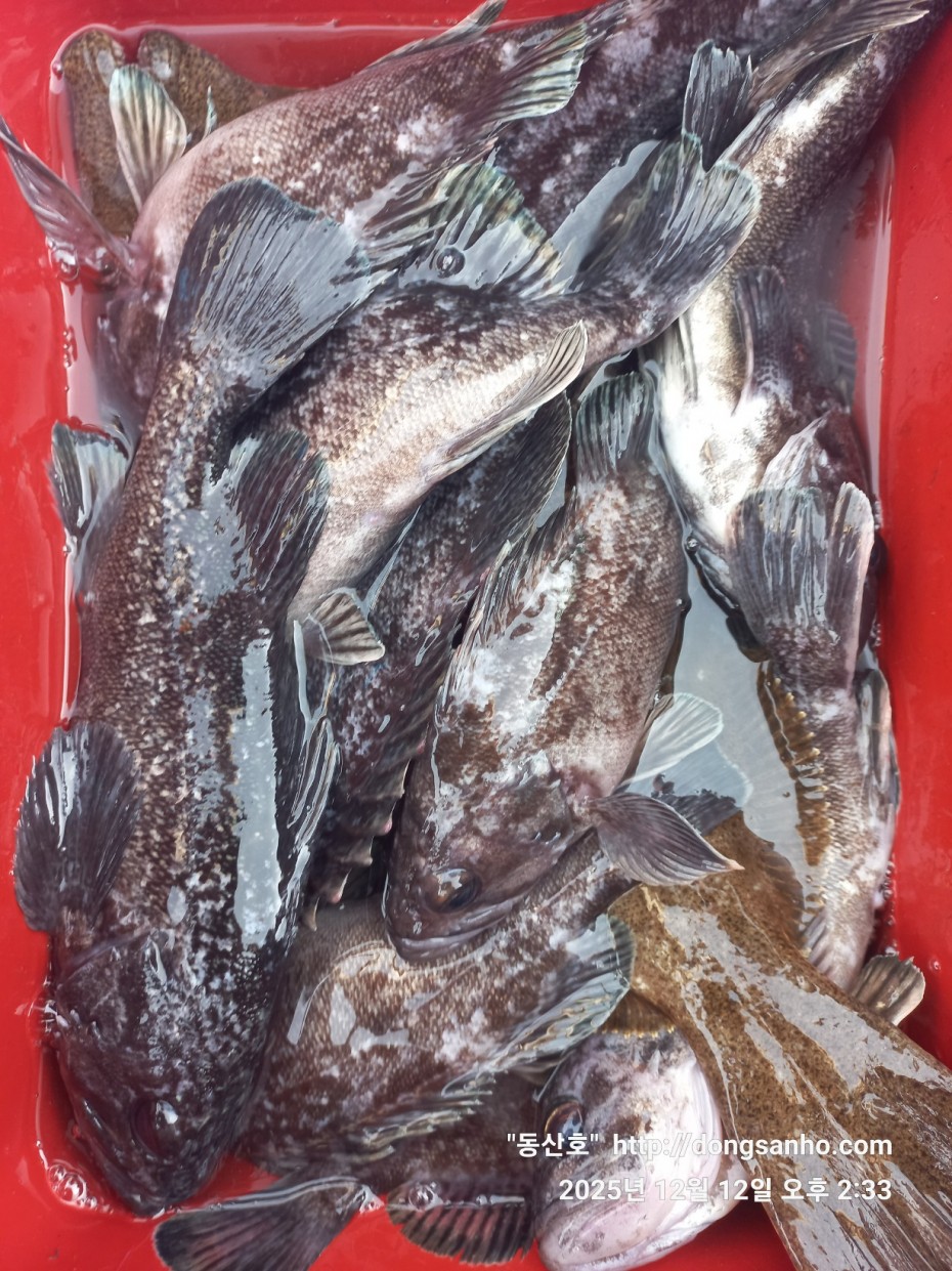 f122236a4d3e69e2ad7efdc33f5bf6e1_1765812