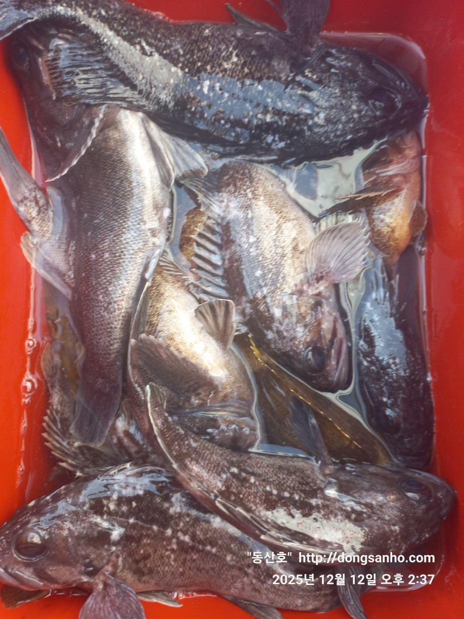 f122236a4d3e69e2ad7efdc33f5bf6e1_1765812