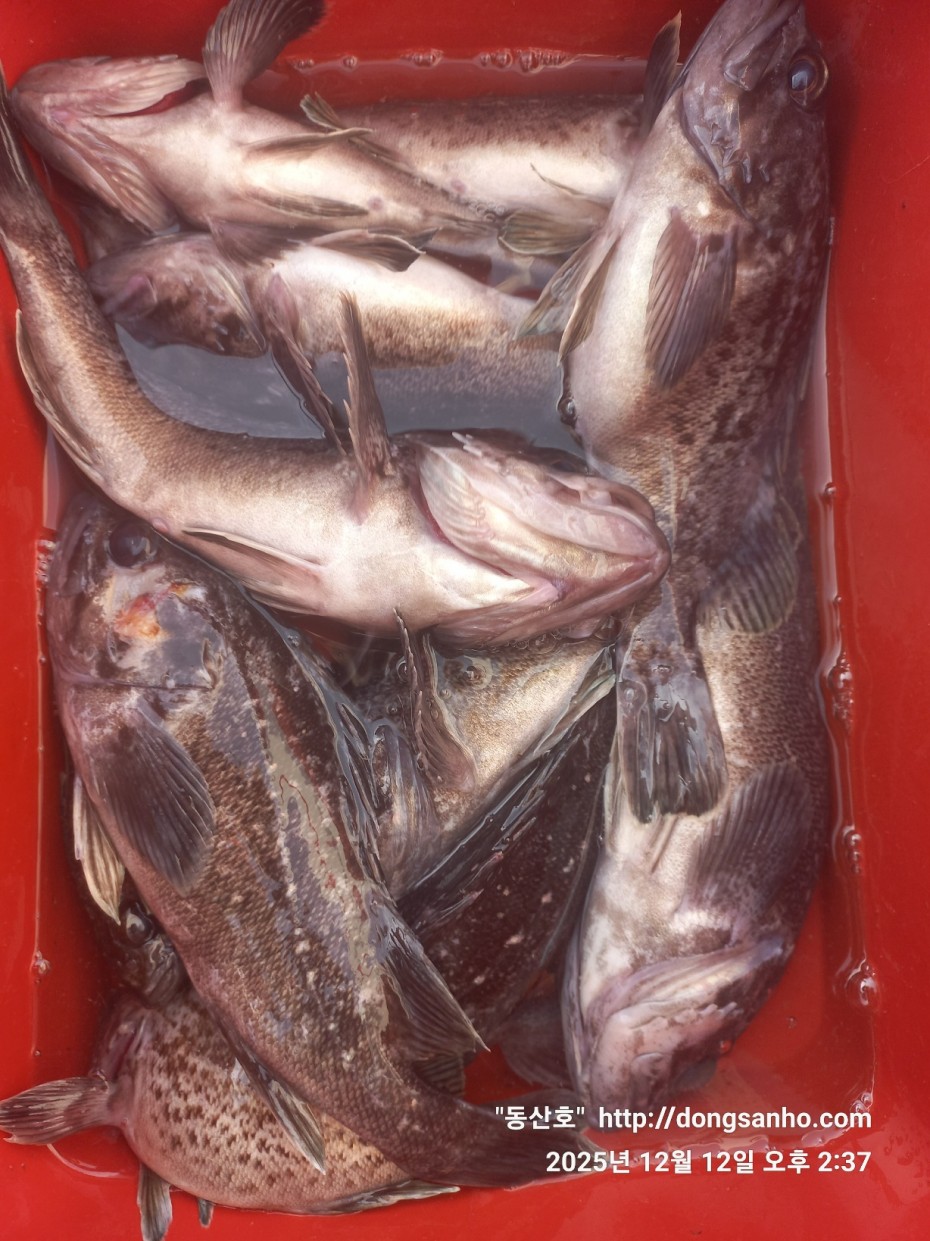 f122236a4d3e69e2ad7efdc33f5bf6e1_1765812