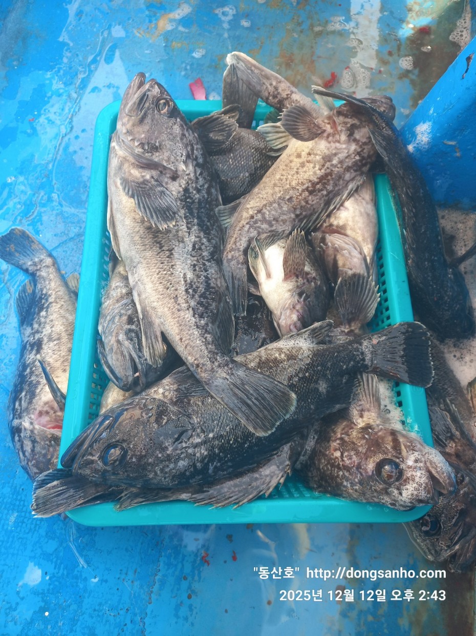 f122236a4d3e69e2ad7efdc33f5bf6e1_1765812