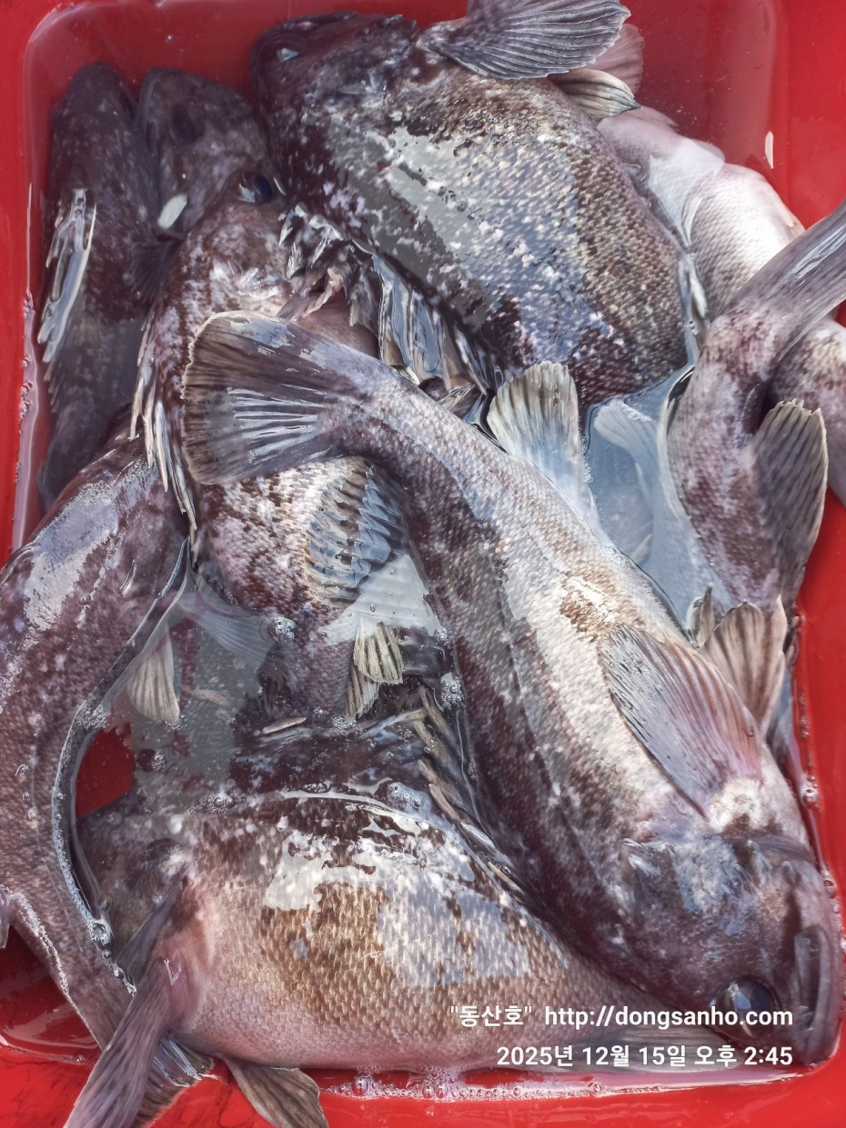 f122236a4d3e69e2ad7efdc33f5bf6e1_1765979