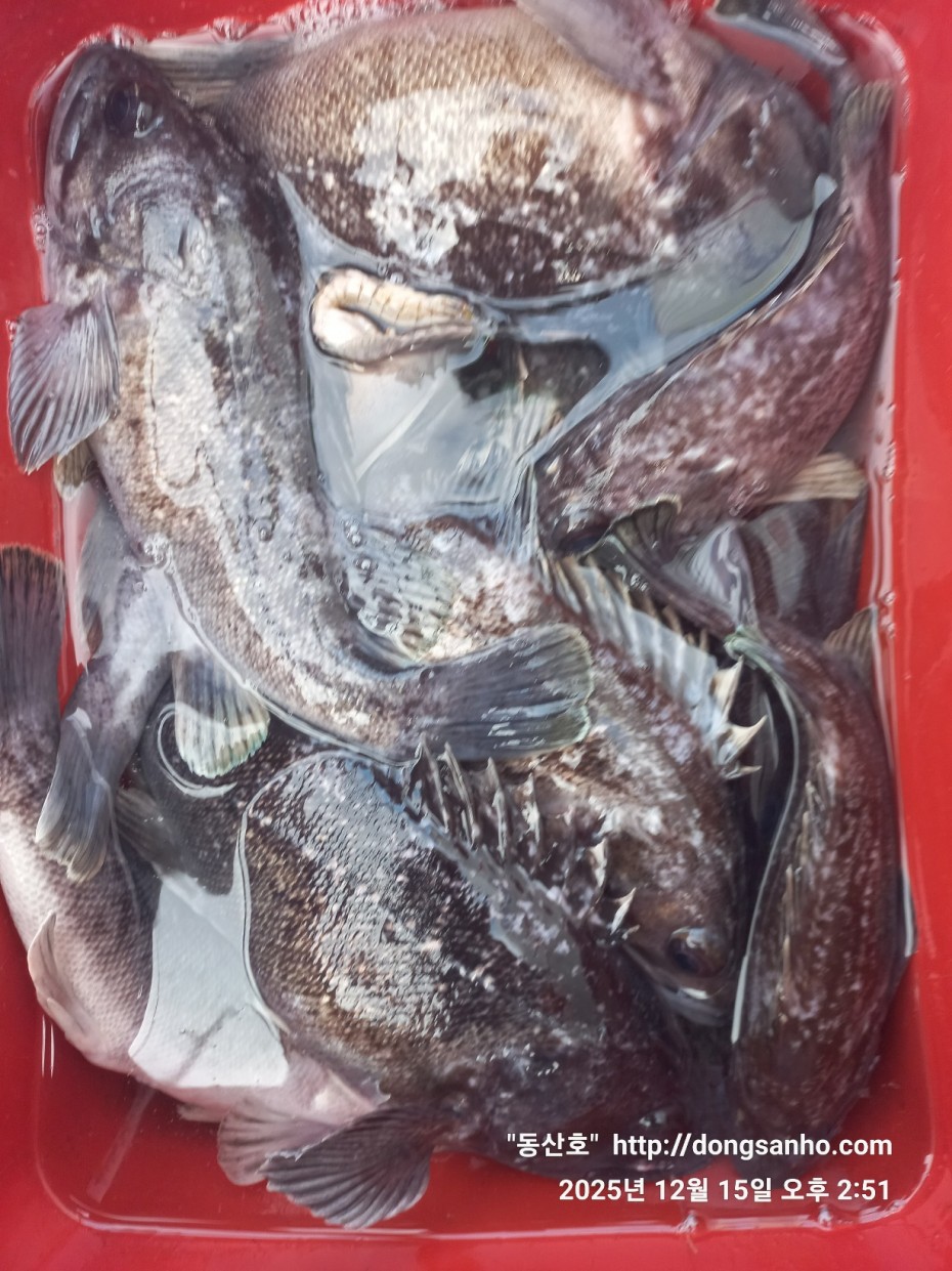 f122236a4d3e69e2ad7efdc33f5bf6e1_1765980