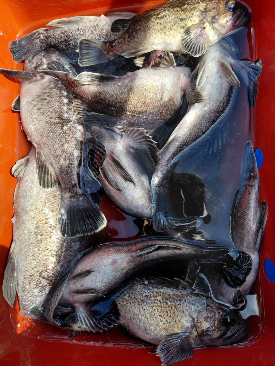 1a0ab26f21e9cd22a2c9e8b779069068_1777622