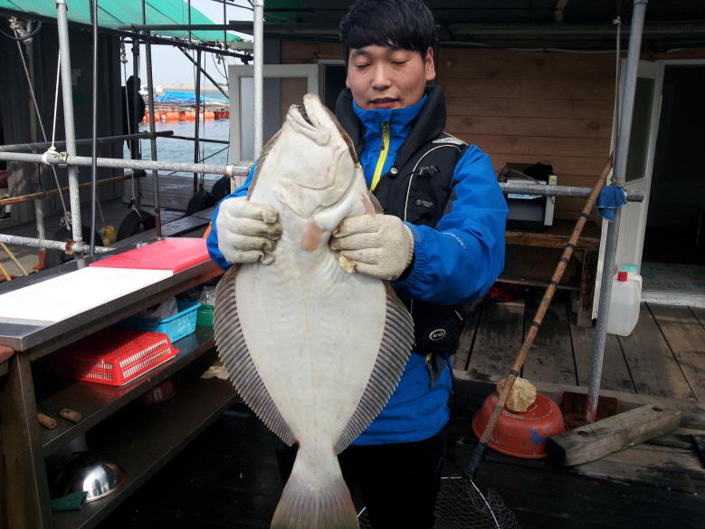 도비도 동산호좌대1024_121201.jpg