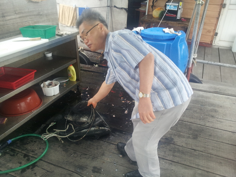 도비도 동산호좌대낚시140722_154443.jpg