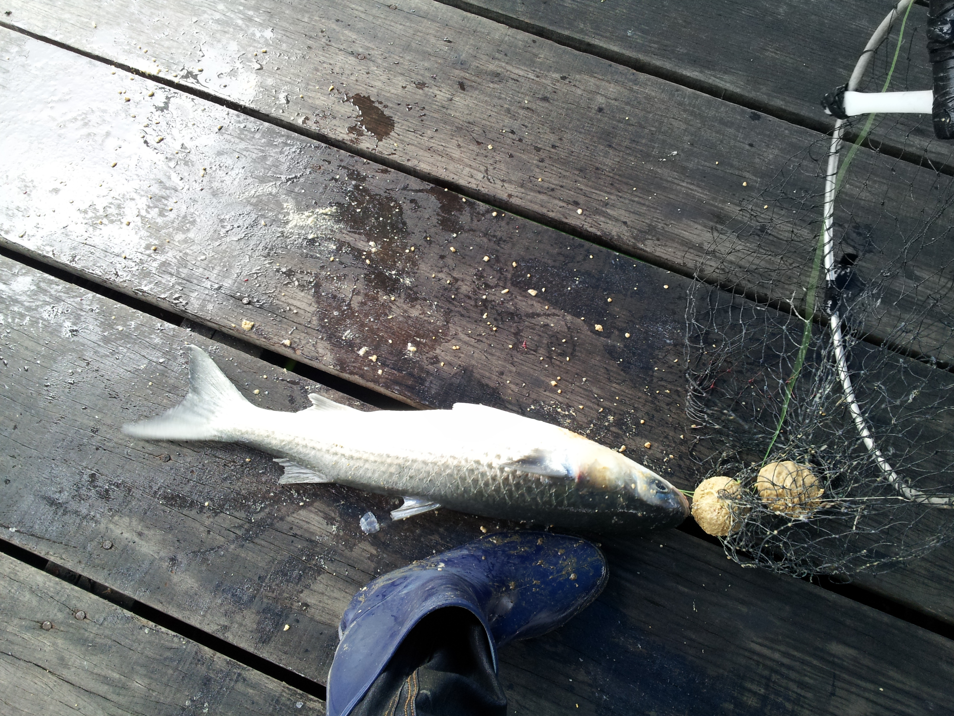20130617_083232.jpg
