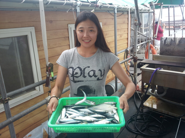 동산호좌대낚시 고등어0802_150449.jpg